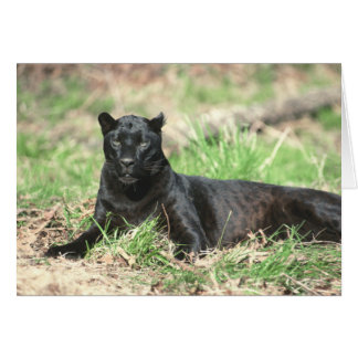 Tarjeta de la pantera negra