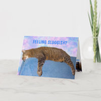 Tarjeta de la papa del sofá Gato lúgubre