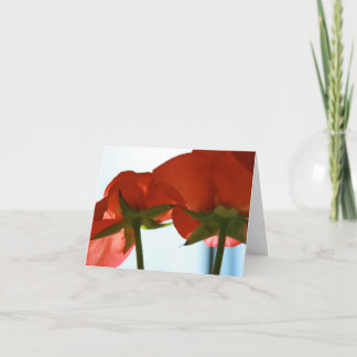 Tarjeta de la parte inferior del rosa rojo