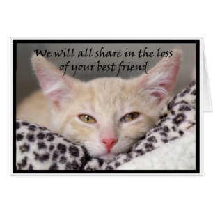 Tarjeta de la pérdida del tema del gato para la
