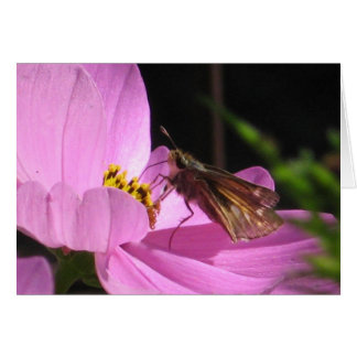 Tarjeta de la plancha de mariposa