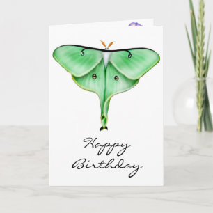 Tarjeta de la polilla de Luna del feliz cumpleaños