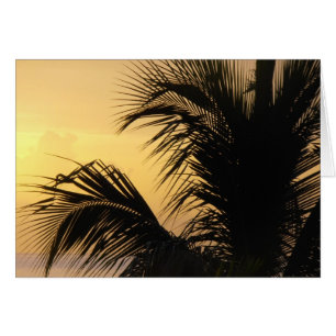 Tarjeta de la puesta del sol de la palmera