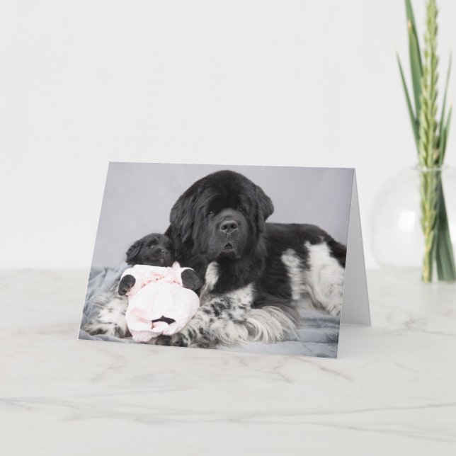 Tarjeta de la recepción del oso de Notta (Anverso)