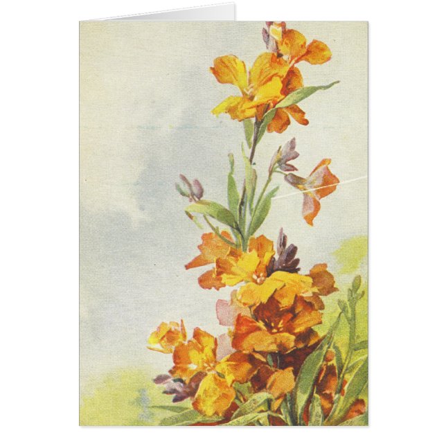 Tarjeta de la reproducción de la postal del (Frente)