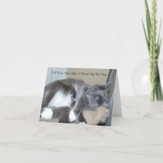 Tarjeta de la siesta del gato