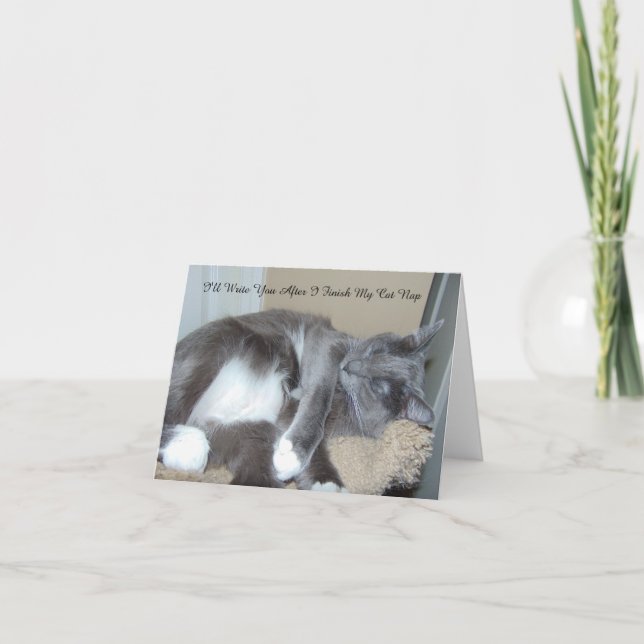 Tarjeta de la siesta del gato (Anverso)