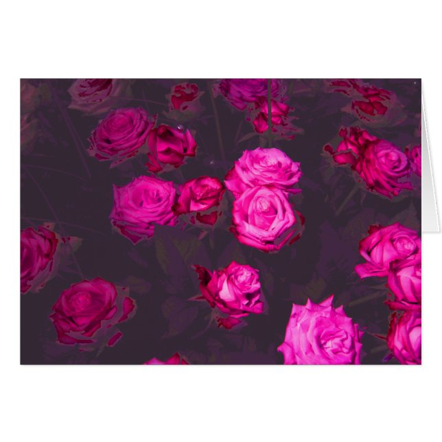 Tarjeta de la súplica del rosa (Anverso (Horizontal))