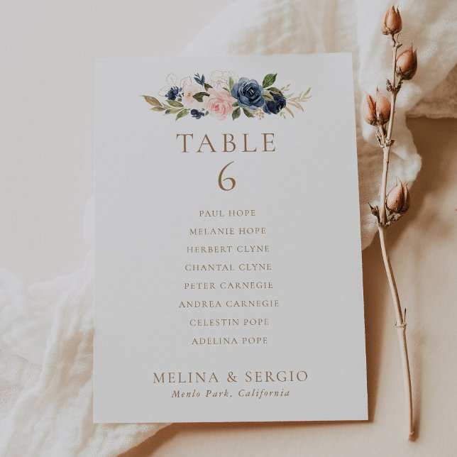 Tarjeta de la tabla 6 de la gráfica de asiento del (Subido por el creador)