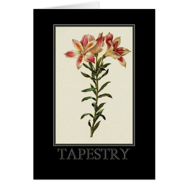 Tarjeta de la tapicería - 009 (Frente)