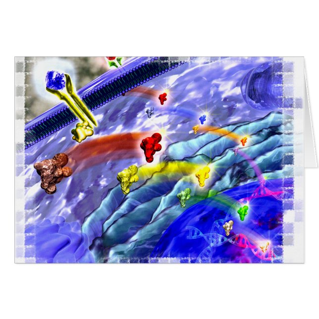 Tarjeta de la tierra de la señalización (Anverso (Horizontal))