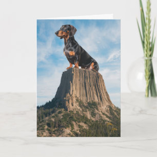 Tarjeta de la Torre del Diablo Dachshund