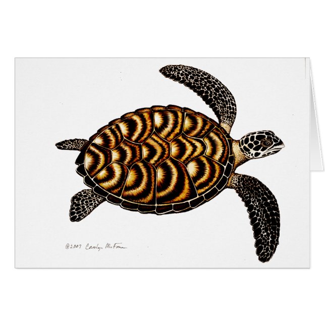 Tarjeta de la tortuga de mar de Hawksbill (Anverso (Horizontal))