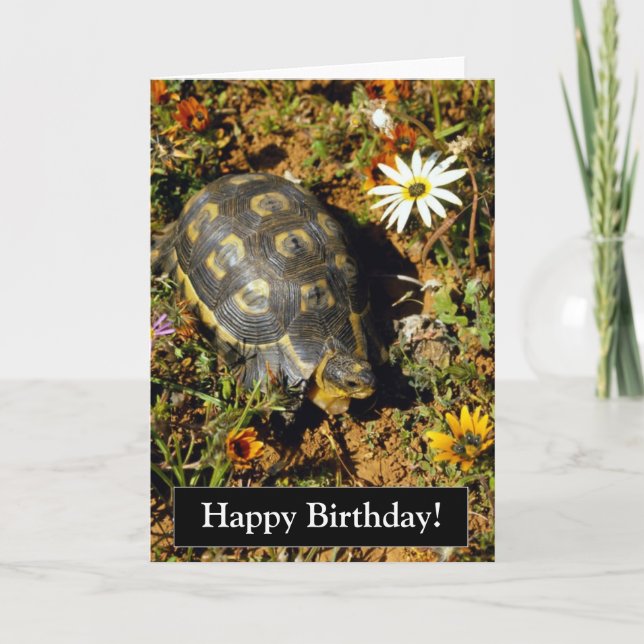 Tarjeta de la tortuga del feliz cumpleaños (Anverso)