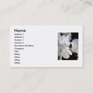 Tarjeta de la visita del fotógrafo