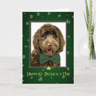 Tarjeta de Labradoodle St. Patrick