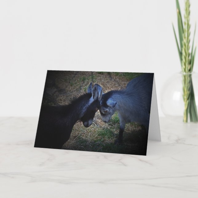 Tarjeta de las cabezas que empalma (Anverso)