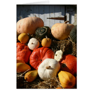 Tarjeta de las calabazas