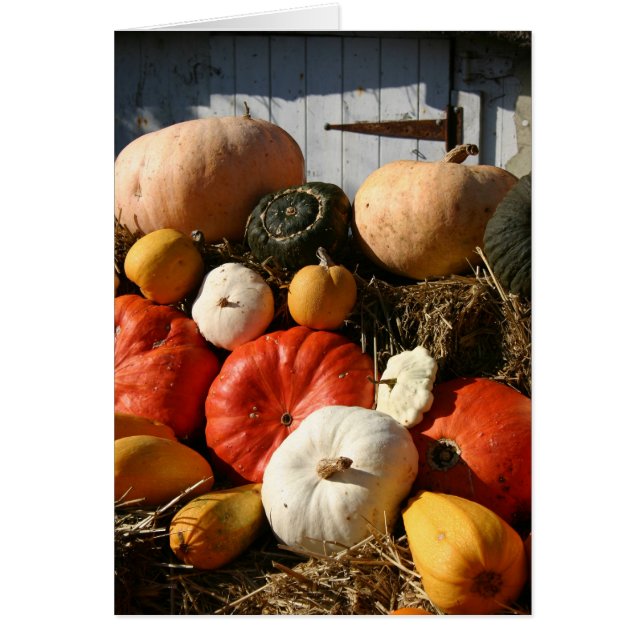 Tarjeta de las calabazas (Frente)