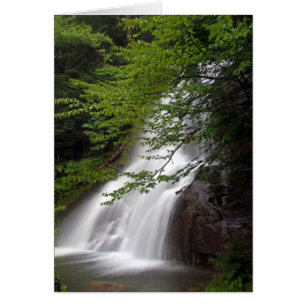 Tarjeta de las cascadas de Vermont
