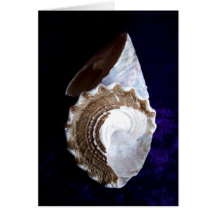 Tarjeta de las cáscaras