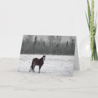 Tarjeta de las Felices Navidad