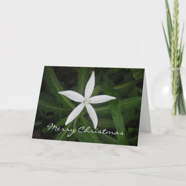 Tarjeta de las Felices Navidad (Anverso)