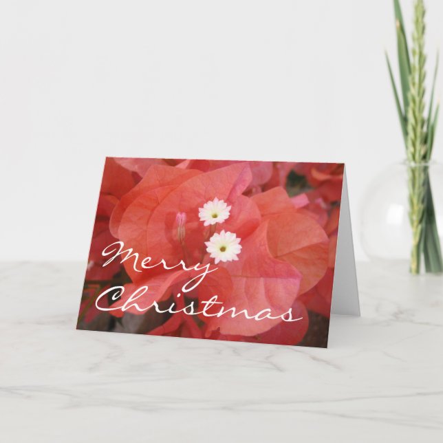 Tarjeta de las Felices Navidad (Anverso)