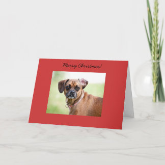 Tarjeta de las Felices Navidad de Puggle