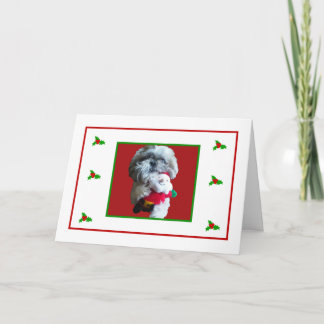 Tarjeta de las Felices Navidad de Shih Tzu