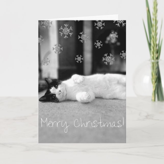 Tarjeta de las Felices Navidad del gatito (Anverso)