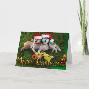 Tarjeta de las Felices Navidad del perro