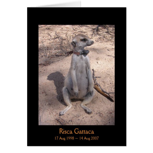 Tarjeta de las leyendas de Risca (Frente)