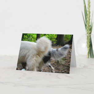 Tarjeta de las maneras/del aniversario de la cola