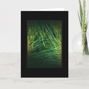 Tarjeta de las vacaciones de invierno 1