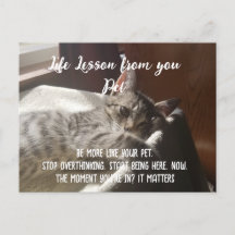 Tarjeta de Lección de Vida de Paro Personalizado