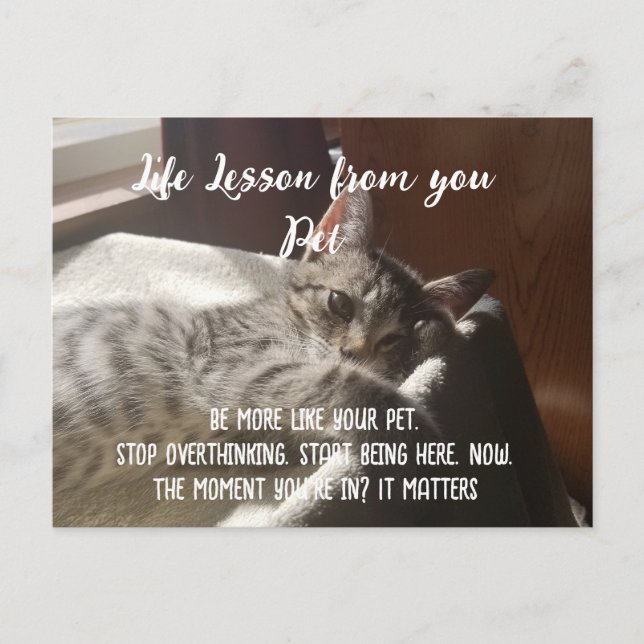 Tarjeta de Lección de Vida de Paro Personalizado (Anverso)