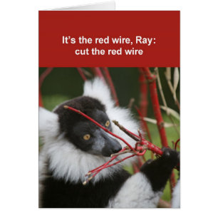 Tarjeta de lemur espumoso