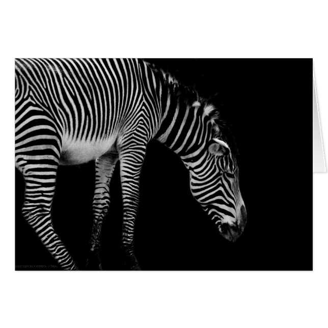 Tarjeta de lenguaje corporal (Anverso (Horizontal))