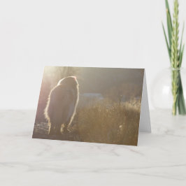 Tarjeta de Leonberger Symapthy