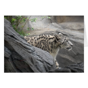 Tarjeta de leopardo de la nieve