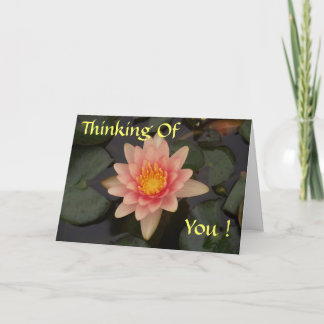 Tarjeta de Lily de Agua para el usuario que falta
