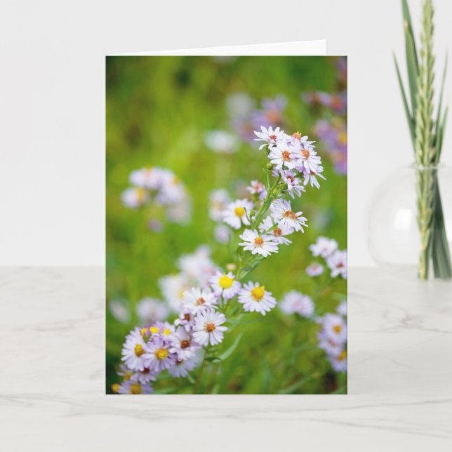 Tarjeta de línea de belleza (Anverso)