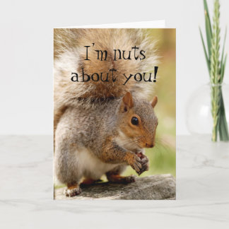 Tarjeta de "Loco por Ti" de Ardilla Adorable