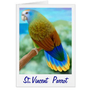 Tarjeta de loro de San Vicente en peligro