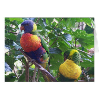 Tarjeta de loros