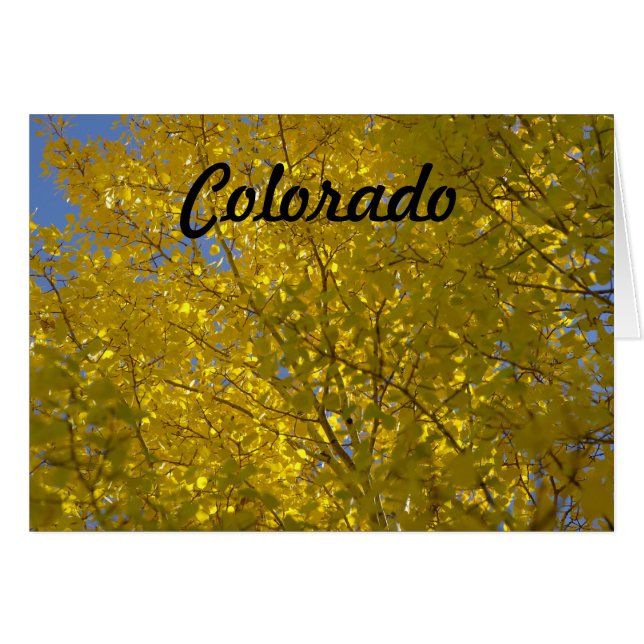 Tarjeta de los álamos tembloses (Anverso (Horizontal))