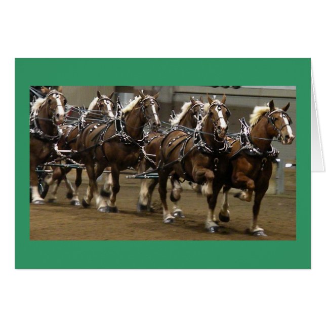 Tarjeta de los belgas (Anverso (Horizontal))