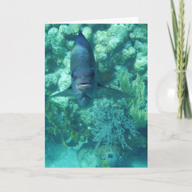 Tarjeta de los Cara-a-Pescados (Anverso)