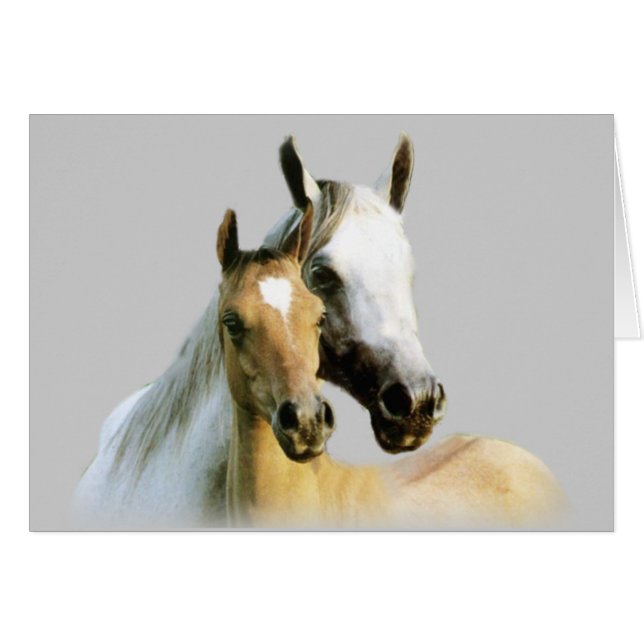 Tarjeta de los compinches del caballo (Anverso (Horizontal))